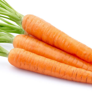Carrot
