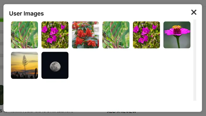 Show all Review Image Popup